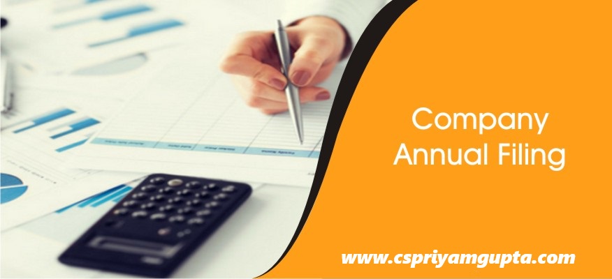 annual returns and filings for Indian private companies.
